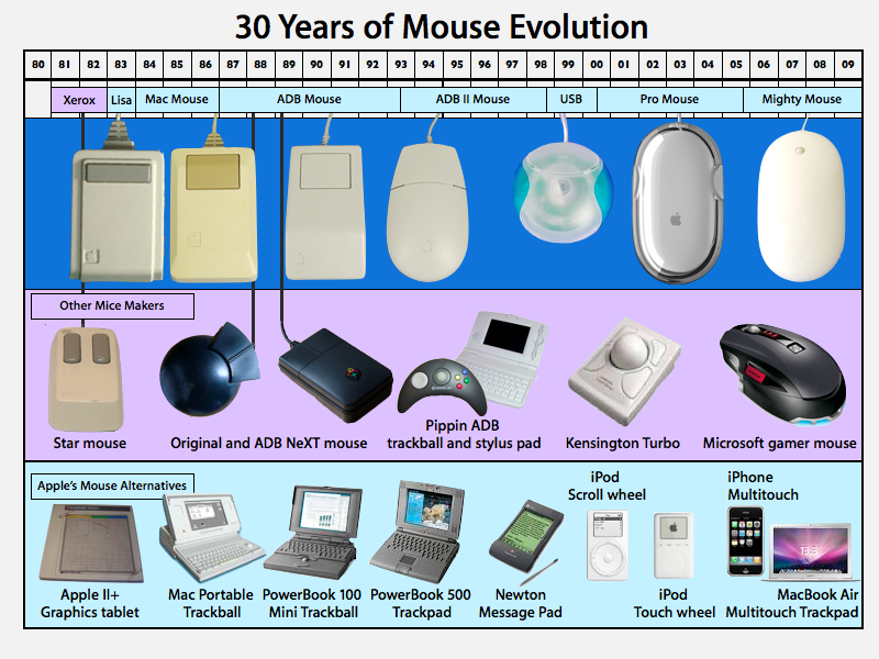 30 years of mouse evolution
