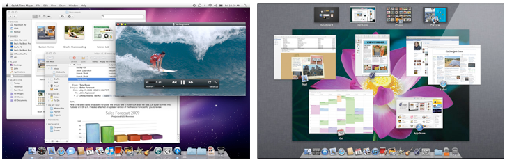 OS X Snow Leopard, Lion